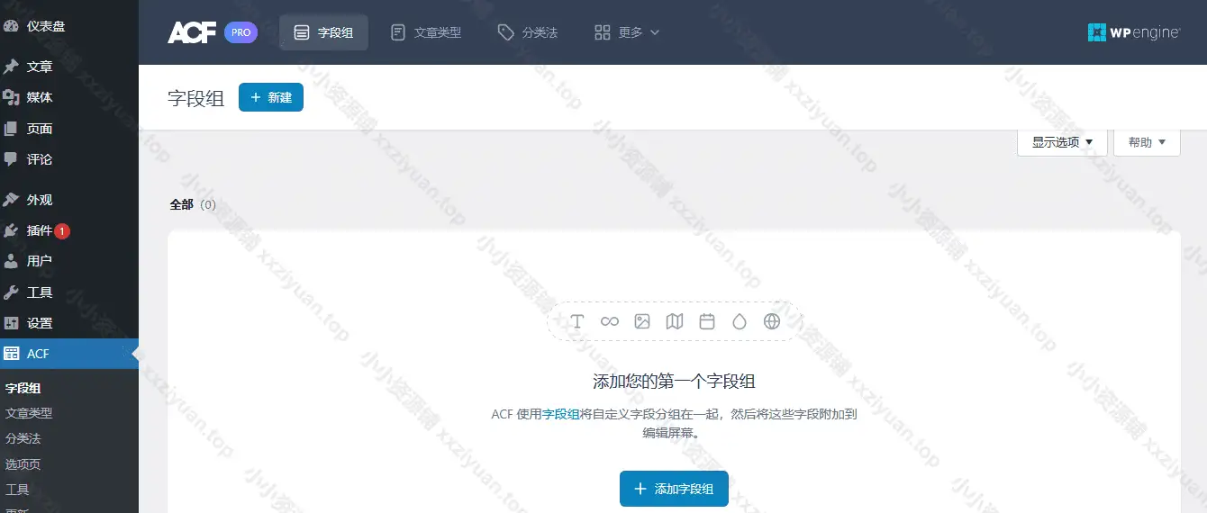 WP自定义字段插件–Advanced Custom Fields Pro 开心版 v6.2.7