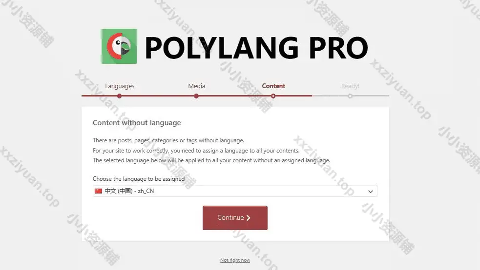 WordPress多语言插件–Polylang Pro v3.6.4